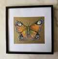 Framed Butterfly Mixed Media Sketch